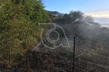 Nuevo incendio forestal en la cumbre de Telde (Foto TA)