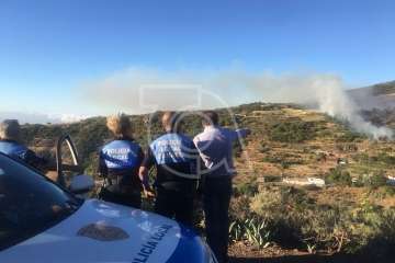 Nuevo incendio forestal en la cumbre de Telde (Foto TA)