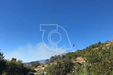 Nuevo incendio forestal en la cumbre de Telde (Foto TA)
