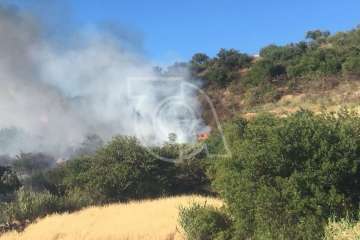 Nuevo incendio forestal en la cumbre de Telde (Foto TA)