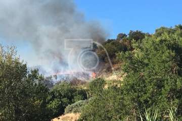 Nuevo incendio forestal en la cumbre de Telde (Foto TA)