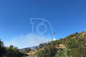 Nuevo incendio forestal en la cumbre de Telde (Foto TA)