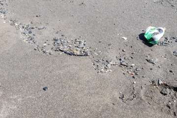 Bolas de piche contaminan las playas teldense de Los Palos y San Borondón (Foto TA)