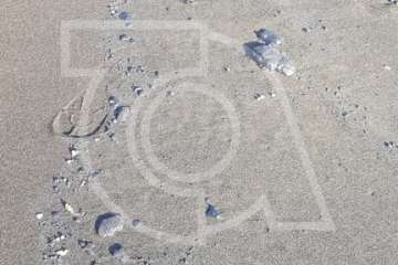 Bolas de piche contaminan las playas teldense de Los Palos y San Borondón (Foto TA)