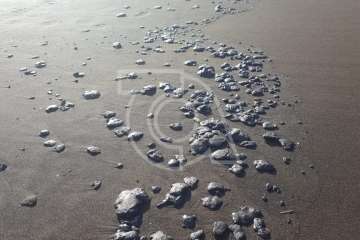 Bolas de piche contaminan las playas teldense de Los Palos y San Borondón (Foto TA)