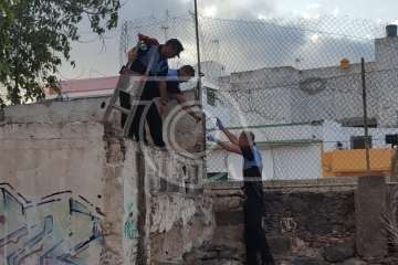 Rescatados de un cuarto abandonado de Los Llanos dos perros desnutridos y sin microchip (Foto TA)