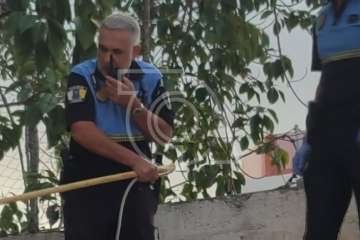 Rescatados de un cuarto abandonado de Los Llanos dos perros desnutridos y sin microchip (Foto TA)