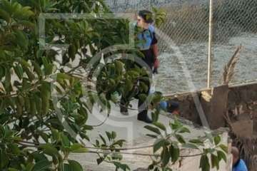 Rescatados de un cuarto abandonado de Los Llanos dos perros desnutridos y sin microchip (Foto TA)