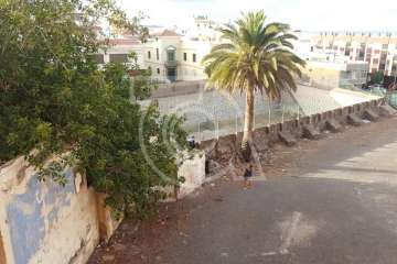 Rescatados de un cuarto abandonado de Los Llanos dos perros desnutridos y sin microchip (Foto TA)