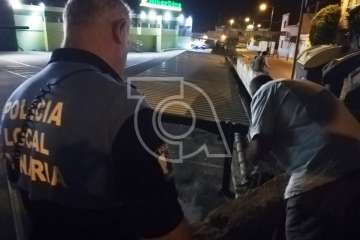 La Policía Local rescata a un macho cabrío suelto en Marpequeña Alta (Foto TA)