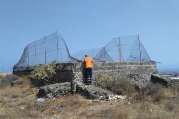 Batidas en zonas de barranco y senderos de Telde (Foto TA)