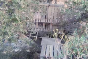 Batidas en zonas de barranco y senderos de Telde (Foto TA)