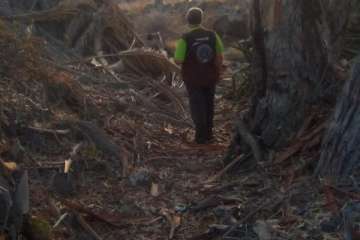 Batidas en zonas de barranco y senderos de Telde (Foto TA)