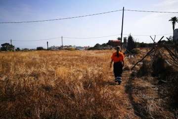 Batidas en zonas de barranco y senderos de Telde (Foto TA)