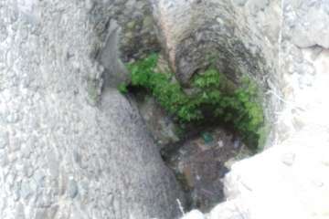 Batidas en zonas de barranco y senderos de Telde (Foto TA)