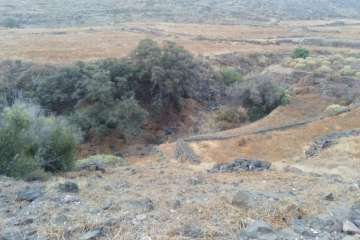Batidas en zonas de barranco y senderos de Telde (Foto TA)