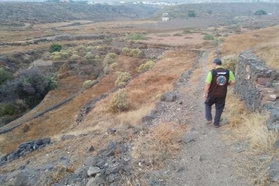 Batidas en zonas de barranco y senderos de Telde (Foto TA)