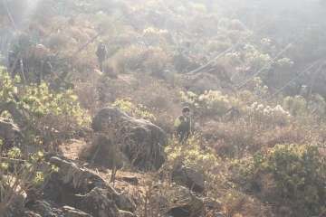 Batidas en zonas de barranco y senderos de Telde (Foto TA)