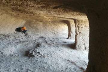 Batidas en zonas de barranco y senderos de Telde (Foto TA)