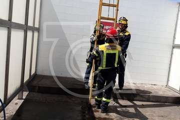 Los bomberos rescatan a un asustado gato que se había subido a un poste en la gasolinera de El Cubillo (Foto TA)