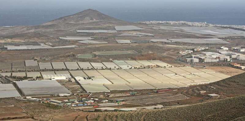 Zona de invernaderos en la zona baja de Agüimes (Foto TA)