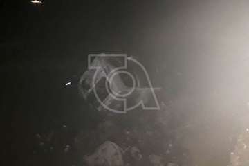 Queman el todoterreno que apareció en la playa de Jinámar junto a una zódiac usada en el desembarco de drogas (Foto TA)