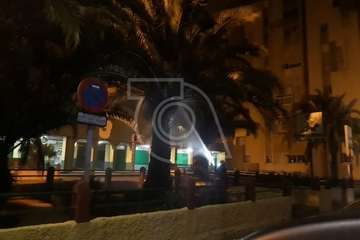 Arde de madrugada el cogollo de una palmera en el Valle de Jinámar (Foto TA)