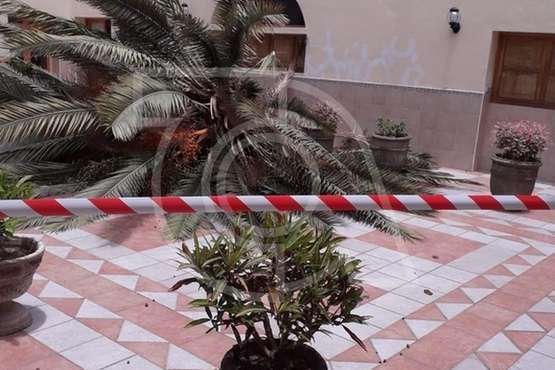 Se desploma el cogollo de la vieja palmera del colegio salesiano de Telde (Foto TA)