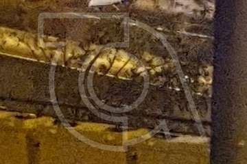 Un hombre fallece al caer desde el puente del Cruce de Melenara sobre la GC-1 (Foto TA)