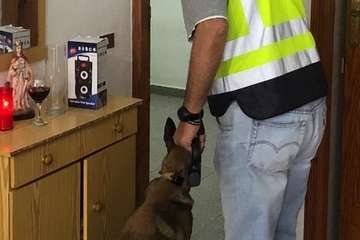  Telde, en una red de explotación sexual de mujeres (Foto TA)