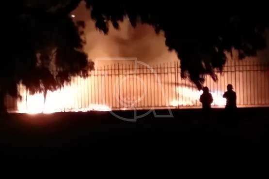 Incendio en el interior del Parque de las Mil Palmeras del Valle de Jinámar (Foto TA)