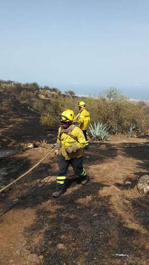 Brigadas medioambientales de los equipos Bravo del Cabildo, este viernes en Cazadores (Foto TA)