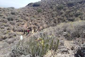 Hallado un cadáver en el interior de la Sima de Jinámar (Foto TA)