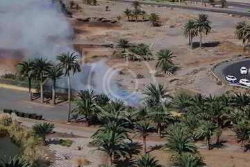Enésimo incendio en el cauce bajo del Barranco de Jinámar (Foto TA)