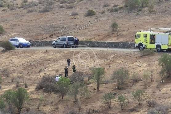 Los bomberos rescatan en el Valle de Jinámar a una perra y sus siete cachorros (Foto TA)
