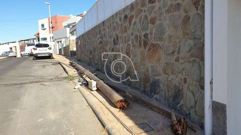 El poste de madera que se rompió por su base por el arrastre del cableado aéreo (Foto TA)