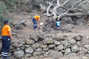 Intervención de Policía Local y Protección Civil en el Barranco de Los Cernícalos (Foto TA)