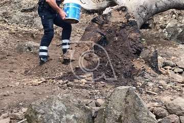 Intervención de Policía Local y Protección Civil en el Barranco de Los Cernícalos (Foto TA)