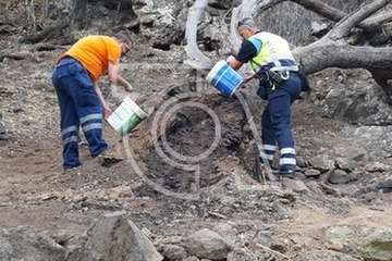 Intervención de Policía Local y Protección Civil en el Barranco de Los Cernícalos (Foto TA)