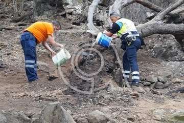 Intervención de Policía Local y Protección Civil en el Barranco de Los Cernícalos (Foto TA)