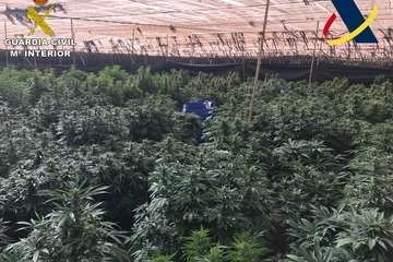 La investigación de un Juzgado de Telde desarticula una banda de tráfico de drogas/Guardia Civil.