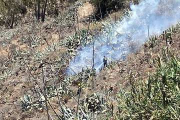 Fuego en una ladera de Lomo Magullo/TA.