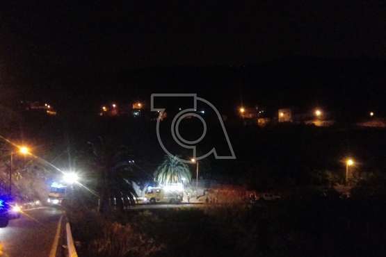 Bomberos de Telde sofocan un incendio de 200 metros de palmeral y matorrales en San Roque/TA.