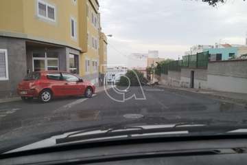 El viento racheado causa el desplome de un árbol en una calle de El Ejido/TA.