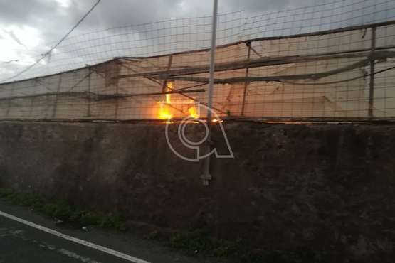 Incendio en un invernadero de Marpequeña Alta (Telde)/TA.