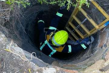 Los maullidos salvan a un pequeño gato de una muerte segura en Telde/TA.