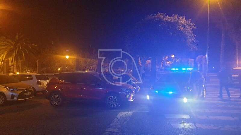 Coche patrulla de la Policía Nacional delante de una de las puertas de acceso al recinto verde/TA.