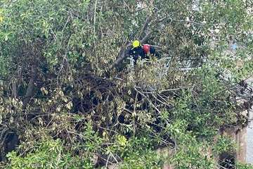 Enésimo incendio en unas dependencias en desuso del casco de Telde/TA.