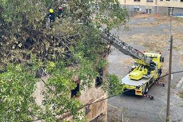 Enésimo incendio en unas dependencias en desuso del casco de Telde/TA.
