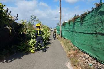 El viento racheado derriba en Telde un vallado en Cruz de Jerez y farolas en los paseos de Taliarte y Melenara/TA.